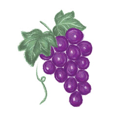 クレヨン風の葡萄のイラスト
