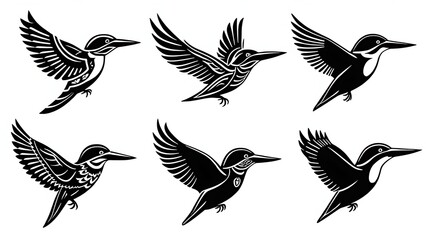 Obraz premium set of black and white lion head image illustration 