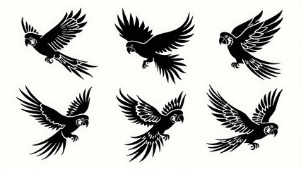 Obraz premium set of flying parrots on white background