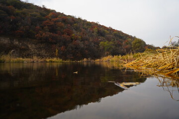 Fototapeta premium Dry grass in the pond. A mountainous area with different vegetation.