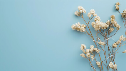 Dry flowers glued with silver tape on blue background. Beige color. Minimal design, biophilic concept for decotation.