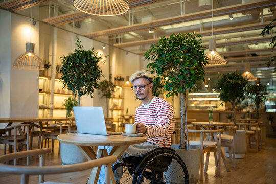Pleased student guy on wheelchair studying in coffeeshop with cup of hot drink, looking at portable computer screen, perceiving information from webinar. Interested guy freelancer using laptop in cafe