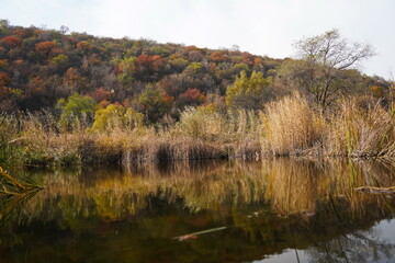 A pond in a mountainous area with different vegetation.