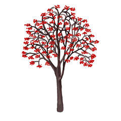 Obraz premium ナナカマドの赤い実がなっているイラスト