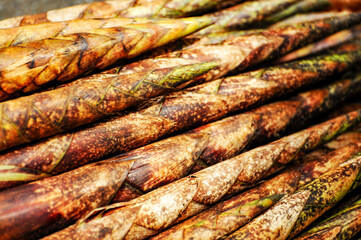 Fresh ingredients, bamboo shoots