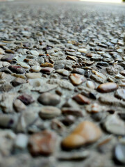 picture of exposed aggregate finish floor.Depth of field.pattern tile. Graphic style.