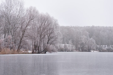 The fog settled in the frost.