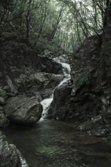 산속 깊숙한 곳에 폭포와 개울물이 흐르는 계곡의 협곡사이로 나무와 암석 돌들이 어우러진 자연환경의 배경화면