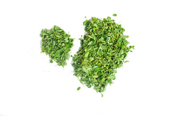 pieces of dry green tea on white background, Fenugreek leave leaf with wihte back ground,Group leaves of trifolium alexandrinum or cluster of leaves of Egyptian clover, berseem clover, indian