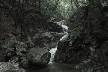 산속 깊숙한 곳에 폭포와 개울물이 흐르는 계곡의 협곡사이로 나무와 암석 돌들이 어우러진 자연환경의 배경화면