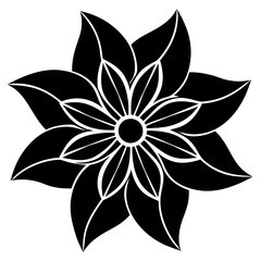 black and white flowers illustration
