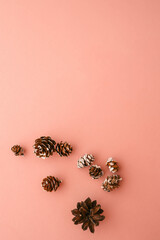 Flat-lay arrangement of natural pinecones with snow accents on a pastel pink background. Minimalist...