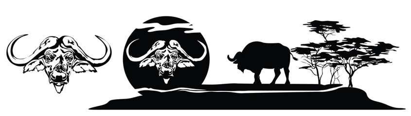 Buffalo in the African Savannah