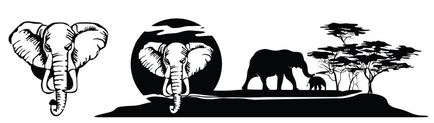 Elephant i the African Savannah