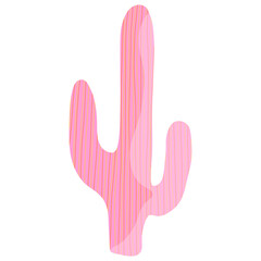 Pink cactus