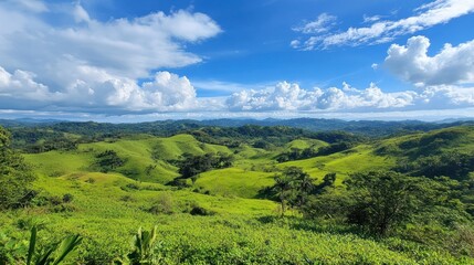 Lush green hills under a bright blue sky.