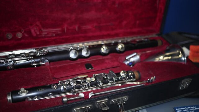 A beautifully crafted set of clarinets displayed in an elegant red velvet-lined case. The intricate details of the keys and craftsmanship highlight the artistry of these musical instruments.