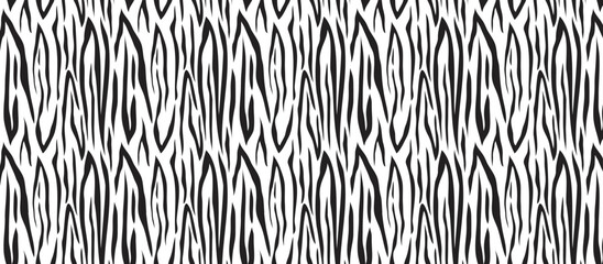 Black and white zebra pattern and background