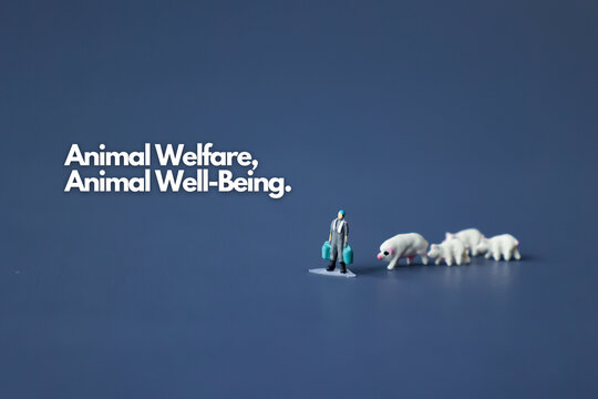 Animal welfare, Animal rights, Animal well-being. World problem of agriculture. Picture for World Animal Day.