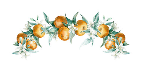Mandarin branch with leaves and flowers garland isolated on white background. Hand drawn watercolor background with citrus fruits.Template for label, card or invitation design