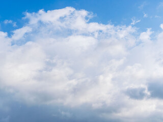秋雨の日の束の間の晴れ間17