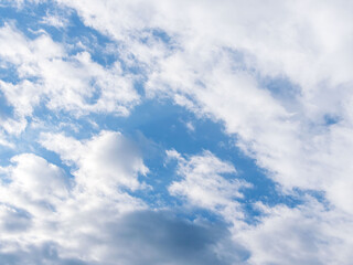 秋雨の日の束の間の晴れ間12