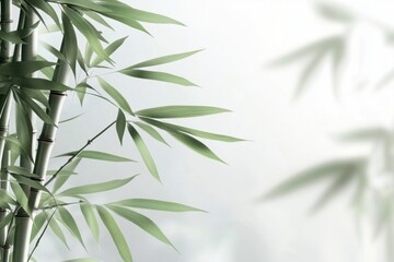 Obraz premium A bamboo plant with green leaves is the main focus of the image