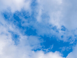 秋雨の日の束の間の晴れ間10