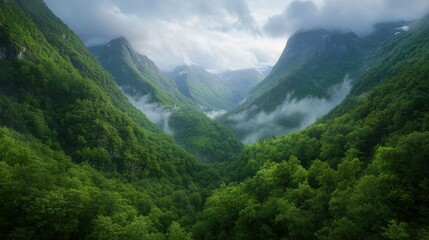 Obraz premium A breathtaking panorama of lush green valleys surrounded by towering mountains and fog, perfect for nature-themed projects, travel blogs, or environmental campaigns, Capture serenity and adventure,