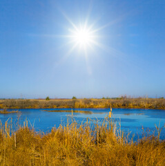 small calm lake  with reed on coast at the sunny day