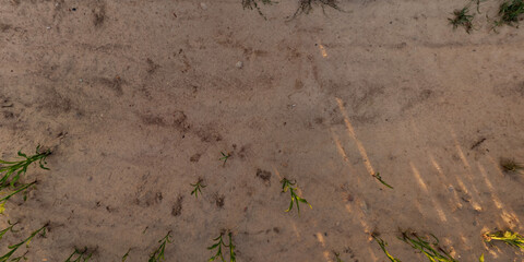 panorama view from above on texture of gravel sand road with car tire tracks