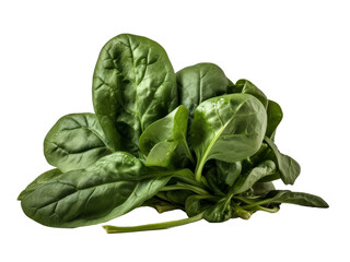 Fresh Green Spinach Leaves