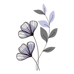 a minimalist vector illustration of delicate flowers with thin, black, wireframe petals and soft gradient coloring