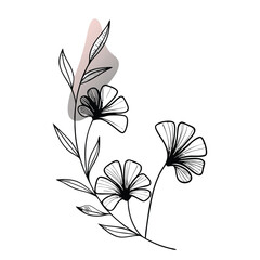 a minimalist vector illustration of delicate flowers with thin, black, wireframe petals and soft gradient coloring