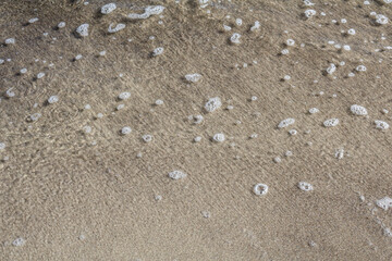 A detailed texture of white foam bubbles resting on wet sand at the shoreline, capturing the natural beauty of the beach