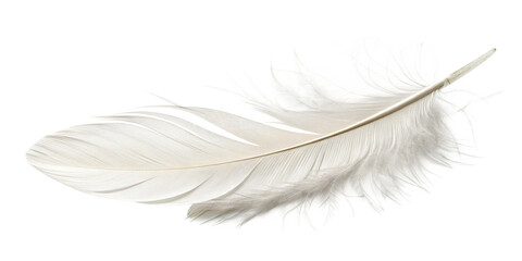 Obraz premium A Single Goose Quill on a Crisp White Surface