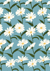 Daisy flower background.Eps 10 vector.