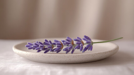Lavender sprig on a white plate with soft background.