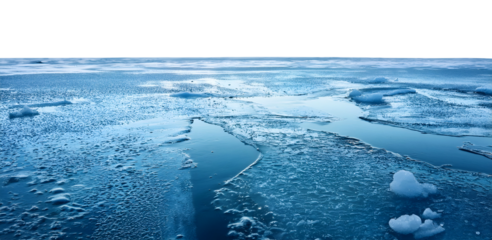 Frozen sea surface