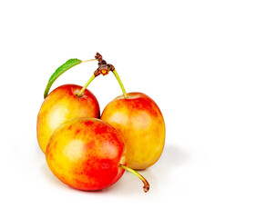 Fresh plums isolated on a white background, contour
