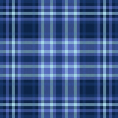 Contour texture textile plaid, sexual background vector fabric. November seamless pattern tartan check in blue and dark colors.