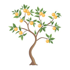 Obraz premium Tree with oranges, white isolated background.