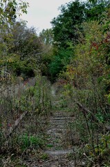 Fototapeta premium old railway road