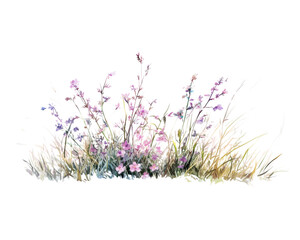 Naklejka premium Colorful wildflowers and grass isolated on a white background.