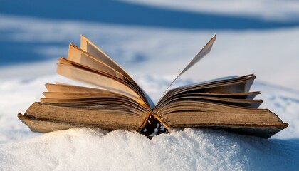 雪に覆われた白銀の風景、積もった雪の上に古い本がそっと開かれている。冷たい空気の中で、本のページが静かに時間を語る。

