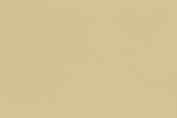 Champagne-Coloured Leather Texture with Fine Grain for Backgrounds and Design