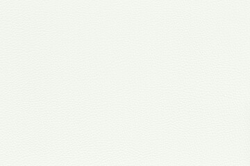 White Leather Texture - Clean and Classic Finish