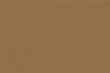 Sand Beige Leather Texture - Smooth and Natural Grain Pattern