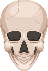 A cartoon skull with a smile on its face