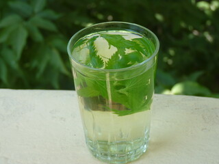 Freshly Brewed Nettle Leaf Tea: A Natural Elixir of Wellness, Energy, and Harmony with Nature Under a Bright Sky